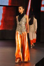 at Blenders Pride Fashion Tour 2011 Day 2 on 24th Sept 2011 (242).jpg